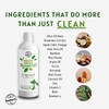 Biogreen Enriched Shampoo for Dogs & Cats