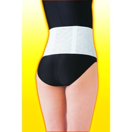 Selvan New Titanium Waist Belt LL