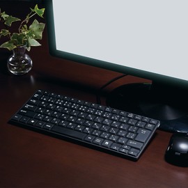 サンワサプライ 静音スリムキーボード SKB-SL20BK