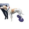 DEZAL Dog Balance Disc Cushion 14" - With 2 Exercises