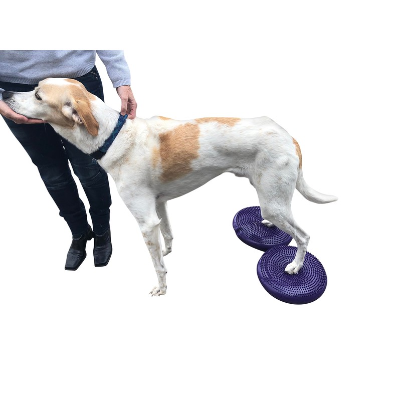 DEZAL Dog Balance Disc Cushion 14" - With 2 Exercises