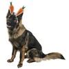 Midlee Carrot Bunny Ears Easter Dog Headband Costume (Large)