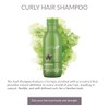 Salerm Alea Shampoo Cabello Rizado o Chino 500ml