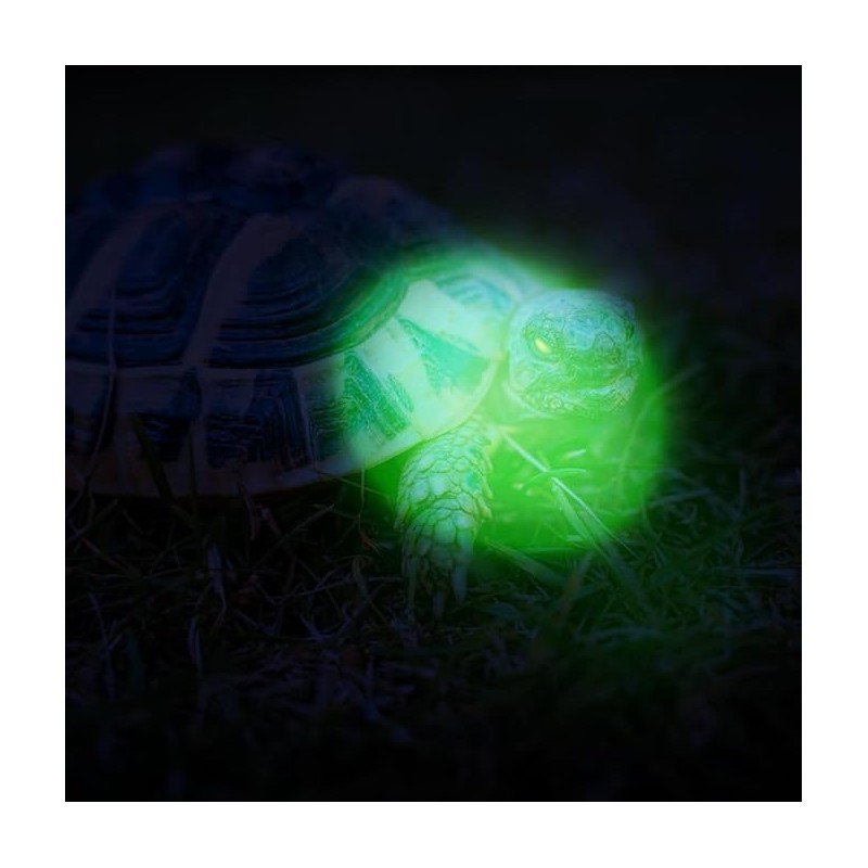 RaySoar 6 Pack Ultra Bright Green Light Keychain Flashlight, Mini