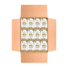 Miracle Tree - 12 Count of Organic Moringa Superfood Tea, 25 Individually Sealed Tea Bags, Ginger (Keto, Detox, Energy/Immunity Booster, Vegan, Gluten-Free, Organic, Non-GMO, Caffeine-Free)
