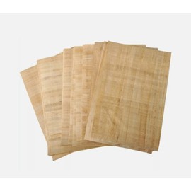 25 Real papyrus paper, Set of Egyptian 8x12 inches (20x30 cm) for Art Projects, printer History subject at School, And Ancient Alphabets Papers Sheets, By Maria stores. (25 sheets), White