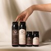 EverEscents Organic Rose Shampoo 250ml