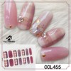 COLORBIRD Nail Seal, Autumn and Winter B, Just Paste Manicure,