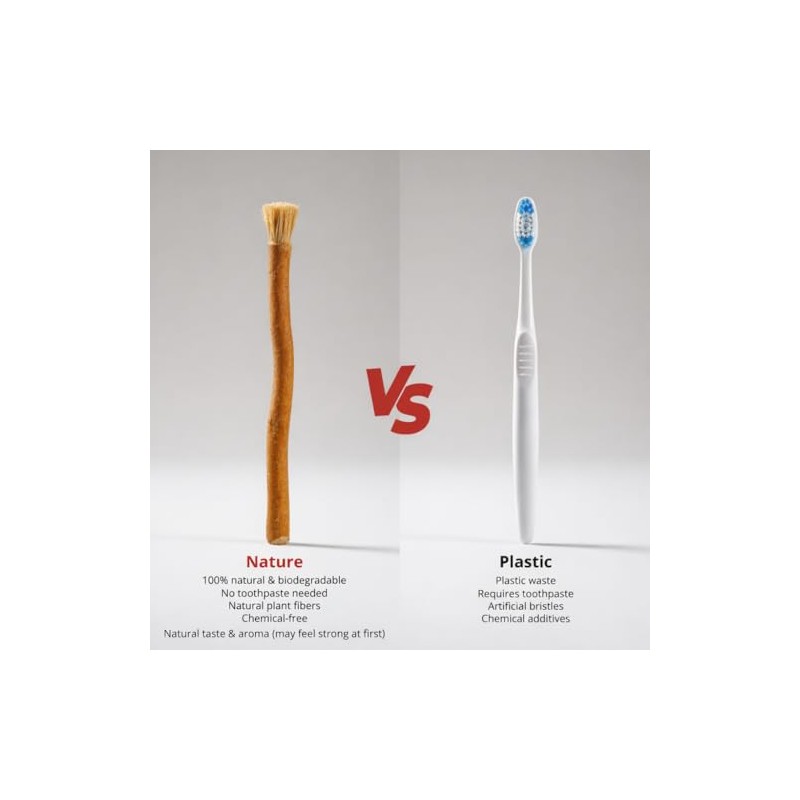 SEWAK Higiene Oral Oral Cepillo de dientes Natural 10 Unidades
