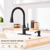 GAGALIFE Kitchen Sink Soap Dispenser with 17 OZ Large Bottle