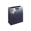 Eurowrap Navy Ombre Birthday Occasions Gift Bag with Silver Tag