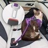 Cat Harness and Leash for Walking, The Upgrade Can be