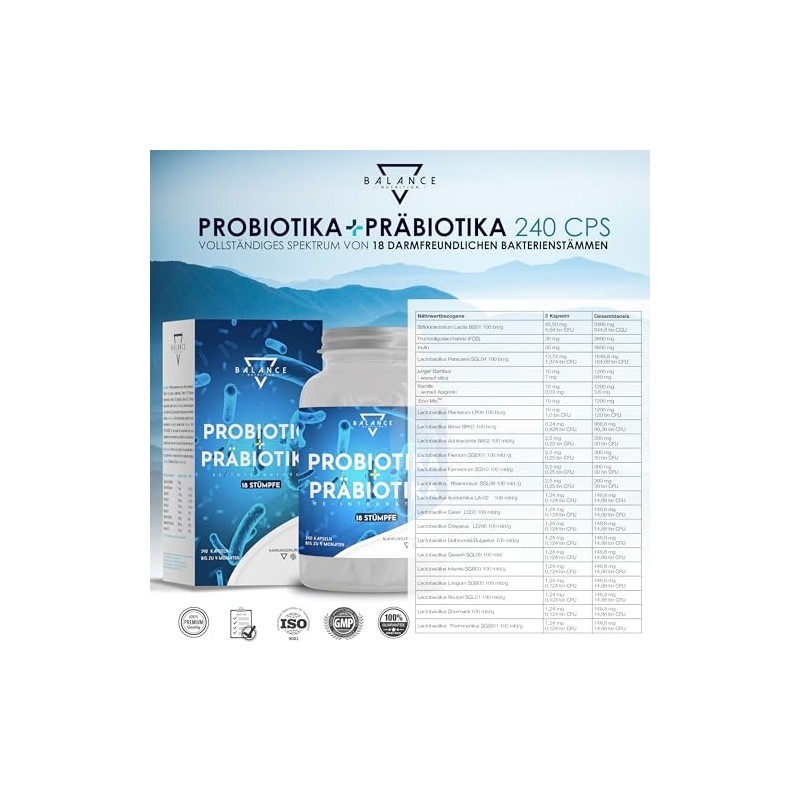 Probiotics and prebiotics - 240 capsules | Probiotic capsules |