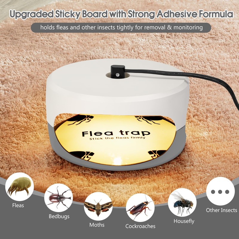 4 Pack Flea Traps for Inside Your Home, Original Indoor
