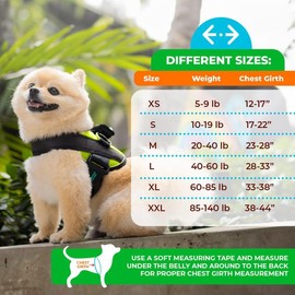 Joyride Harness 2.0 - The Original Side Ring No Pull Dog Harness - No Choke, Escape Proof, Reflective, 3 Leash Clips, Quick Fit Pet Vest - Easy Walks & Training - for Small, Medium & Large Dogs