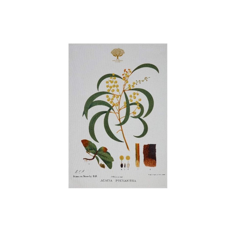 Maxwell & Williams Royal Botanic Gardens Australian Botanics Tea Towel