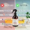 Abbey & Sullivan Odor Eliminator, Autumn Breeze, 16 oz