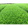(2026 New Tea) Kakino Tea Superior (3.5 oz (100 g)