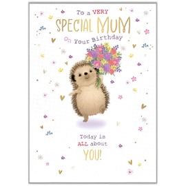 Words 'n' Wishes Special Mum Birthday Card - Happy Birthday Card with a Hedgehog and Flowers Design and Foil Details - Birthday Card for Women