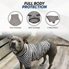 Tooth & Honey Big Dog Stripe Shirt Pullover Full Belly