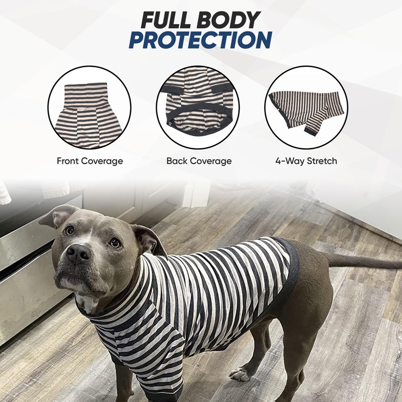 Tooth & Honey Big Dog Stripe Shirt Pullover Full Belly