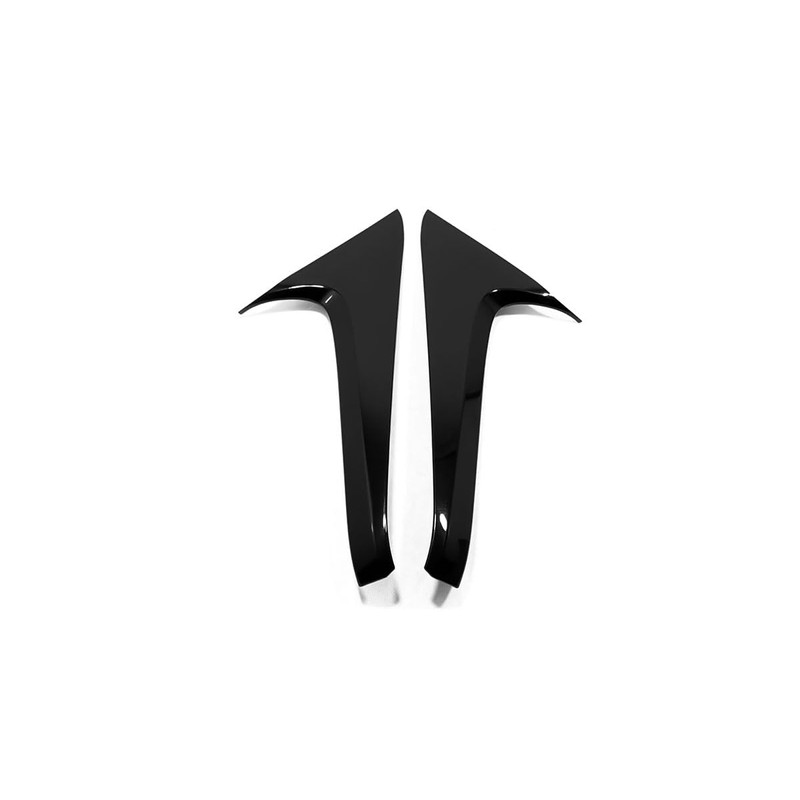 TERDARAY Rear Window C Pillar Side Wing Triangle Cover Trim
