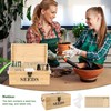 Coolrunner Wood Seed Saving Box, Seed Storage Organizer Case, Seed