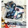 Pet Pooch Boutique Peacock Palms Dog Collar, Medium, 0.3 kg