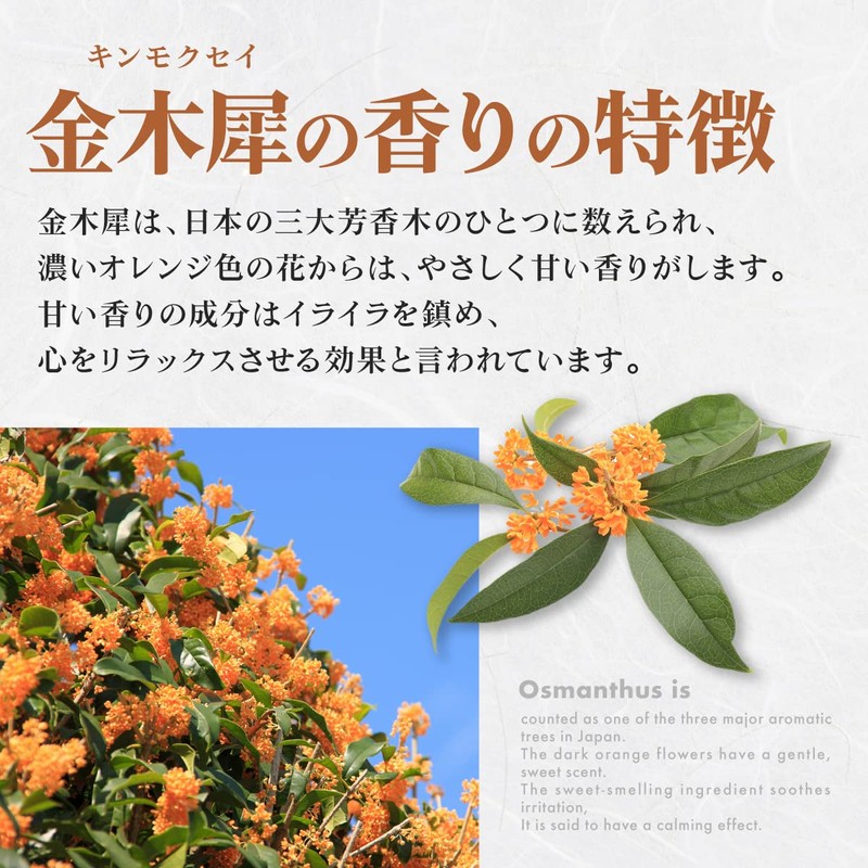 Shinheika Osmanthus Incense 30g (approximately 70 sticks) 5-inch Osmanthus Premium