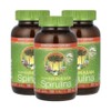 Nutrex Hawaii Spirulina Spirulina 3g 180 tablets 3 Spirulina Spirulina / 뉴트렉스하와이 스피룰리나 스피루나 3g 180정 3개 스피루리나 Spirulina