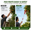 Fruit Picker Tool for Tree Harvesting – 3-Claw Handheld Collector