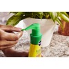 Liquid Indoor Plant Food - 8 Oz - Feeds All