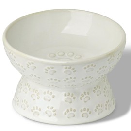 Ceramic Tilted Elevated Small Cat Bowl, for Fat Faced Cat, Kitten, White