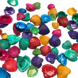 PEPPERLONELY 4 OZ Dyed Assorted Colors Clam Sea Shells, 1/2 Inch ~ 1 Inch