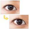 Cause Curl to Eyelashes Natural Asiatic Raccoon Hair Brush
