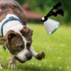 Interactive Dog Ball,Motion Activated Ball | Moving Interactive Toys with