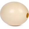Premium Ostrich Eggshell (Grade A, Large Size)