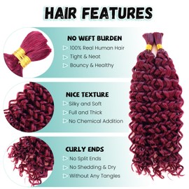 Burgundy Human Braiding Hair Water Wave 2 Bundles/Pack 100G Bulk Human Hair Braiding Hair for Boho Braids, 20 Inch 99j Curly Wet and Wavy Bulk Human Hair Braiding Boho Hair for Braiding No Weft