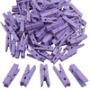 BronaGrand 100pcs Mini Purple Wooden Utility Paper Clips and Clothespins