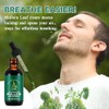 Mullein Drops for Lungs 60 ml - Mullein Leaf Extract
