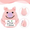 Pack of 2 Funny Positive Pig, Positive Gifts Lucky Pig