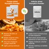 eHerbal Pure Freeze-Dried Pumpkin Powder, 2.43 oz – 100% Natural
