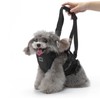 Cat Vest Harnesses Leash Adjustable Breathable Stylish Multifunctional Pet Walking