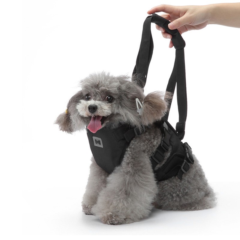 Cat Vest Harnesses Leash Adjustable Breathable Stylish Multifunctional Pet Walking