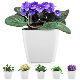 GS Garden Self Watering Planters for Indoor Plants : 5 inch 6 Pack White Planter with Water Level Indicator African Violet Self Watering Flower Pot for Herb pots