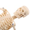 1pc Human Skeleton Anatomical Model Medical Anatomical Teaching Tool With