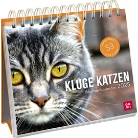 Wochenkalender 2025: Kluge Katzen: Katzenkalender zum Aufstellen mit Wochenkalendarium, Tischkalender als Geschenk für Katzenfreunde