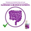 Vitalitat - Probióticos | Bote con 60 Cápsulas de 500