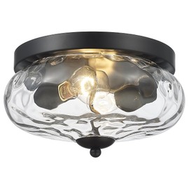 Darkaway Ceiling Light Fixtures Flush Mount Indoor Outdoor Ceiling Light with Water Ripple Glass Shade for Hallway Kitchen Bedroom Porch Living Room Black Finish