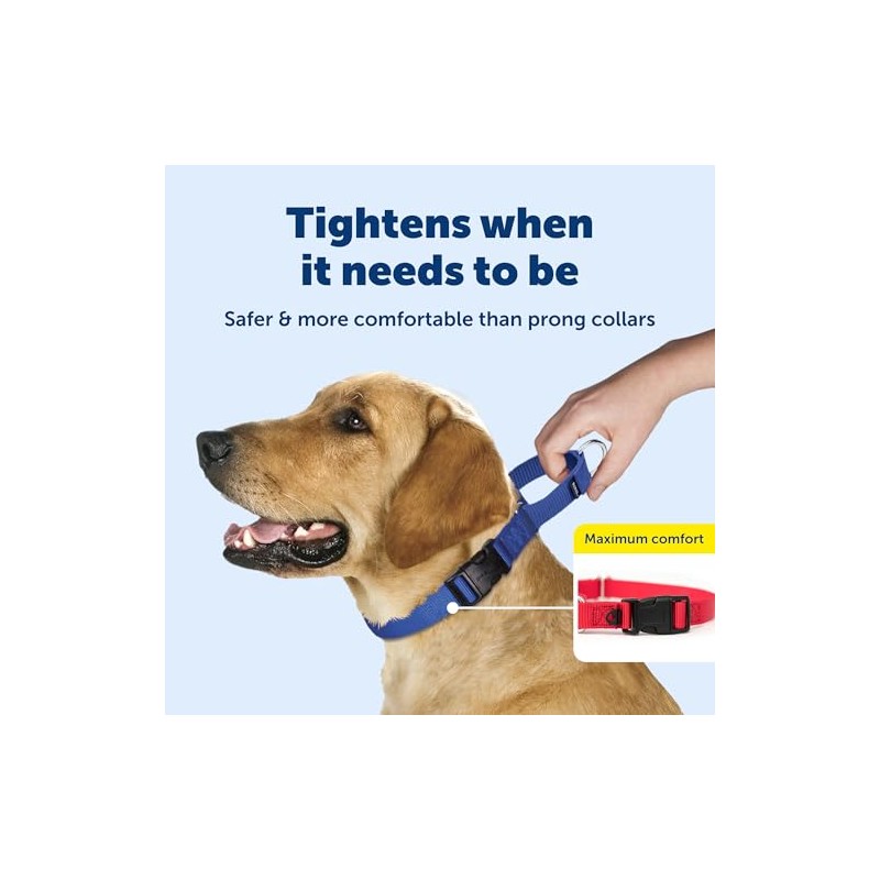 PetSafe Martingale Collar con Hebilla de Cierre rápido, 3/4 Pulgadas